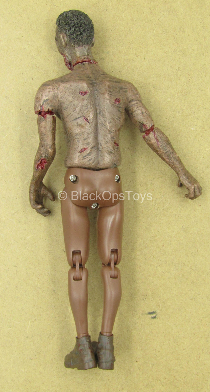 Load image into Gallery viewer, 1/12 - Zombie - AA Male Zombie Body w/Head Sculpt Type 2
