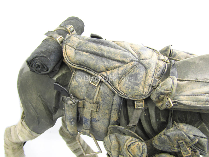 Load image into Gallery viewer, Weathered Undead Horse w/Weathered Saddle &amp; Gear Set
