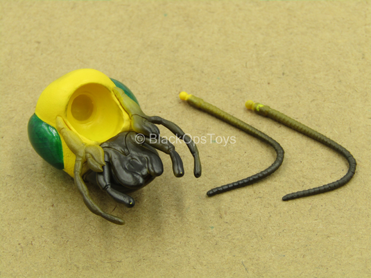 1/12 - Golden Dragon - Gomez - Yellow Gomez Head Sculpt w/Green Eyes