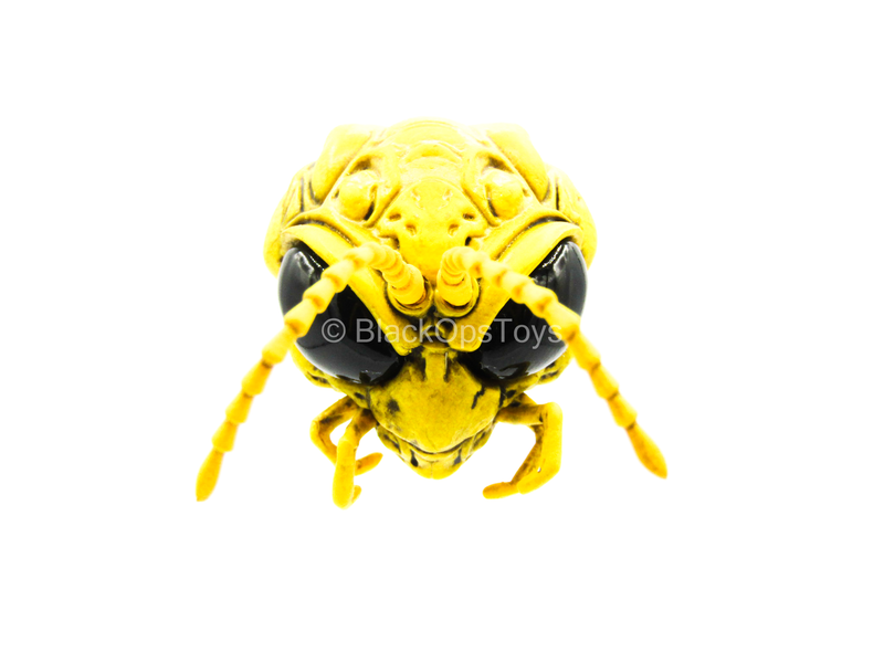 Load image into Gallery viewer, 1/12 - Golden Dragon - Gomez - Gold Like Head Sculpt w/Black Eyes
