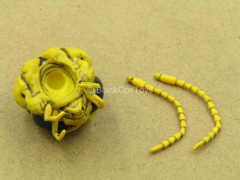 Load image into Gallery viewer, 1/12 - Golden Dragon - Gomez - Gold Like Head Sculpt w/Black Eyes
