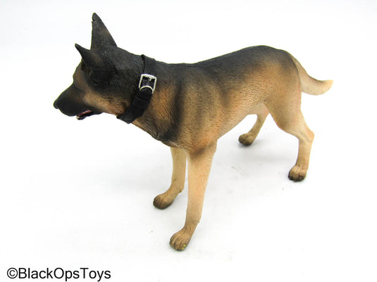 USMC Dog Trainer - German Shephard Dog w/Leash