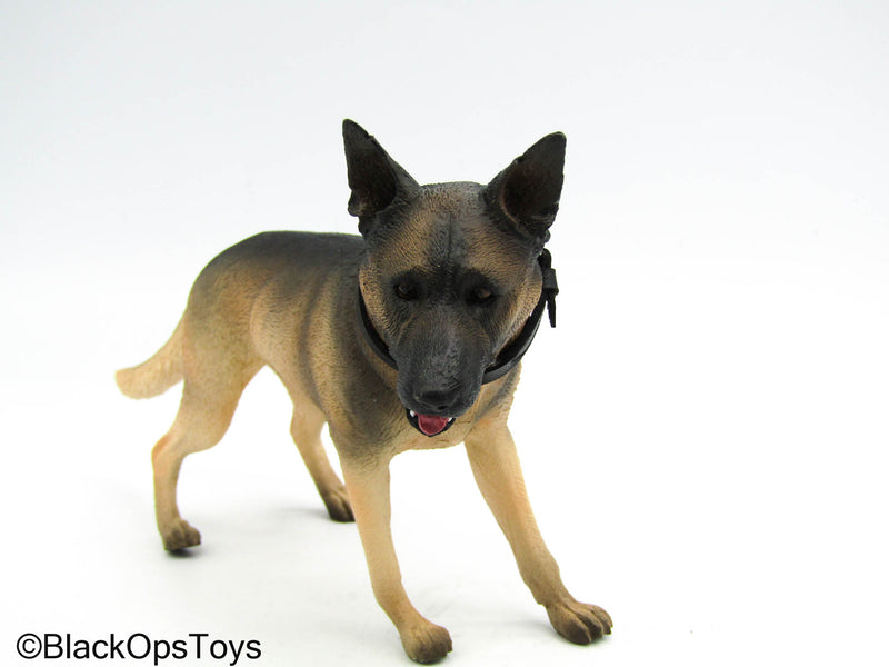 Load image into Gallery viewer, USMC Dog Trainer - German Shephard Dog w/Leash
