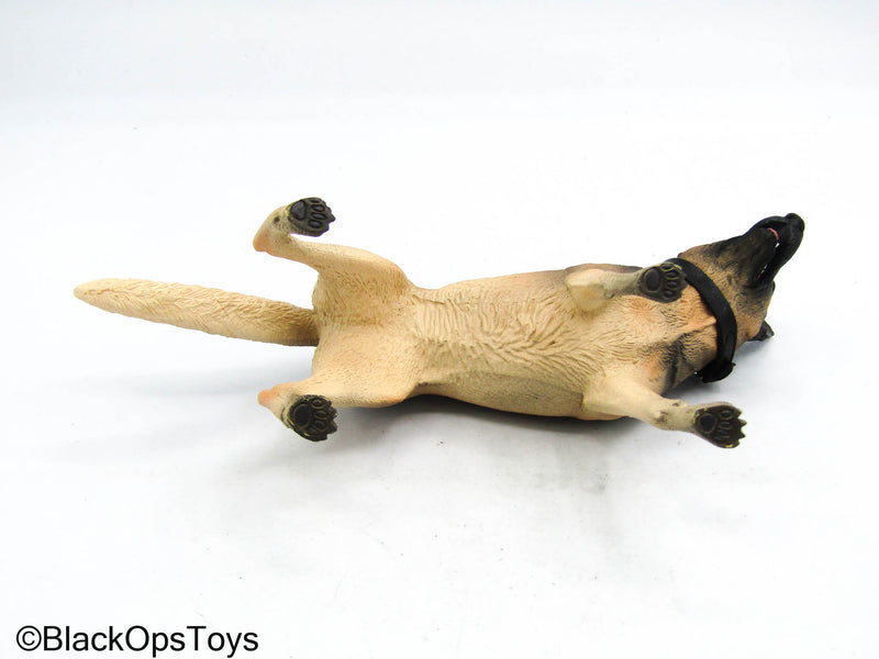 Load image into Gallery viewer, USMC Dog Trainer - German Shephard Dog w/Leash
