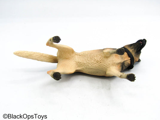 USMC Dog Trainer - German Shephard Dog w/Leash