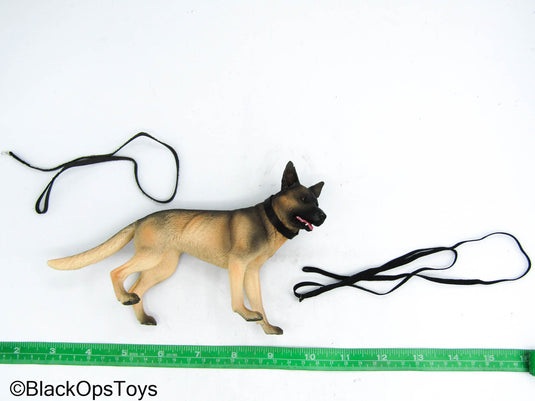 USMC Dog Trainer - German Shephard Dog w/Leash
