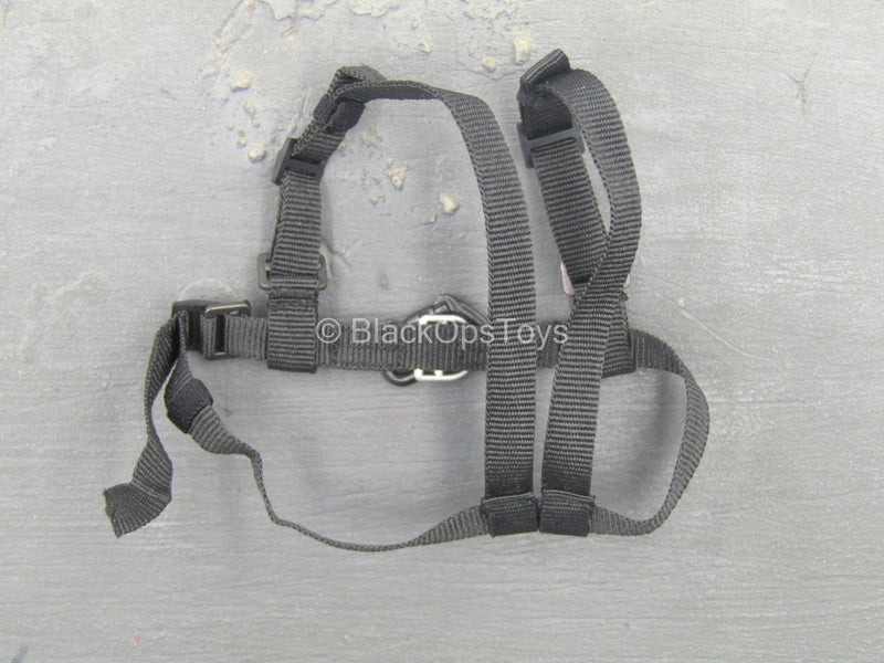 Load image into Gallery viewer, Hot Pink Jacket &amp; Gray Pants w/Harness &amp; Boots
