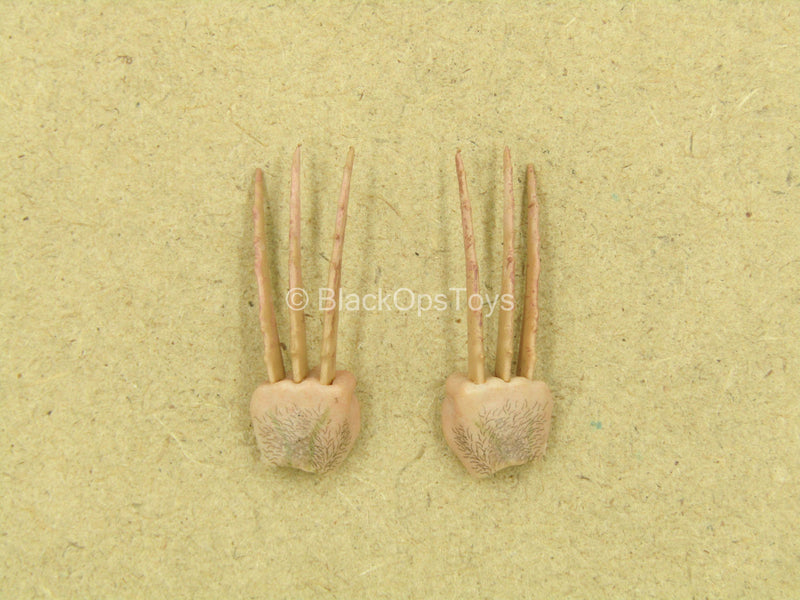 Load image into Gallery viewer, 1/12 - Wolfman - Bone Claw Hand Set
