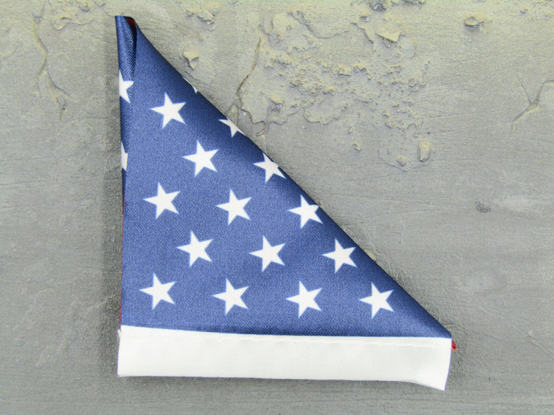 Load image into Gallery viewer, Mark Forester - US CCT - American Flag
