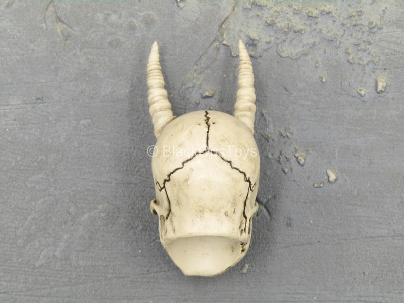 Load image into Gallery viewer, Dorohedoro - Ebisu - Skull Head Sculpt w/Horns
