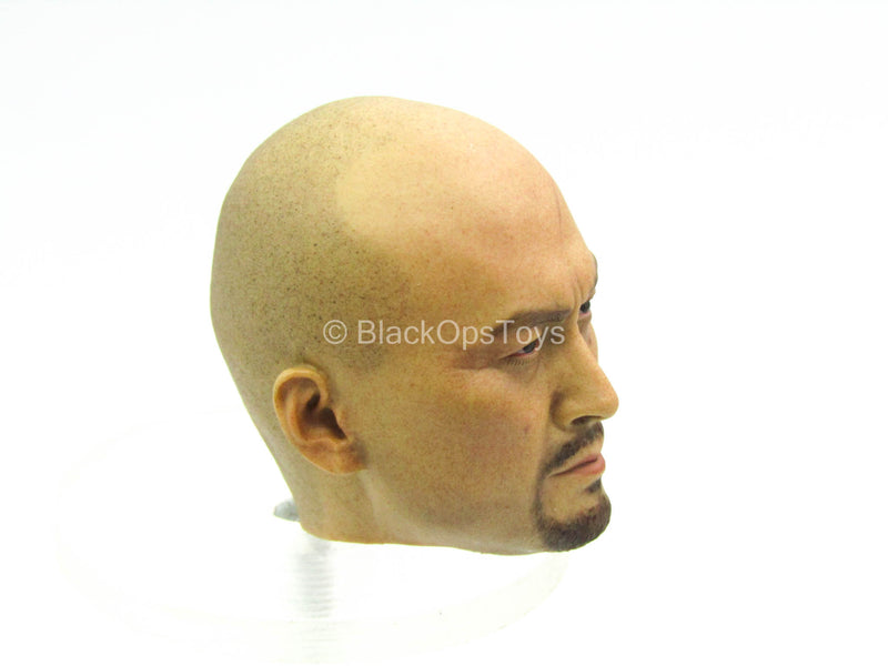 Load image into Gallery viewer, Benevolent Samurai Robes Ver - Bald Head Sculpt
