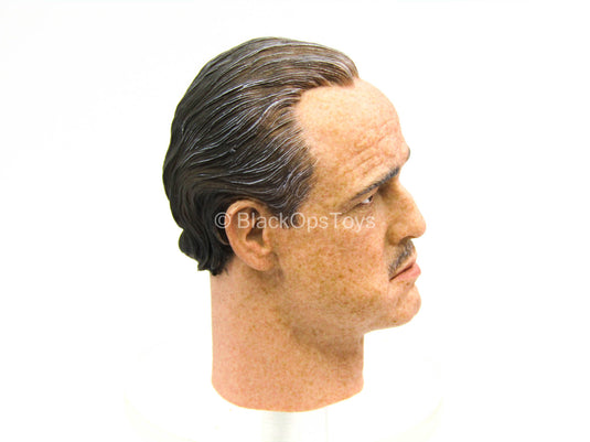 The Godfather Vito Corleone - Male Head Sculpt (Type 2)