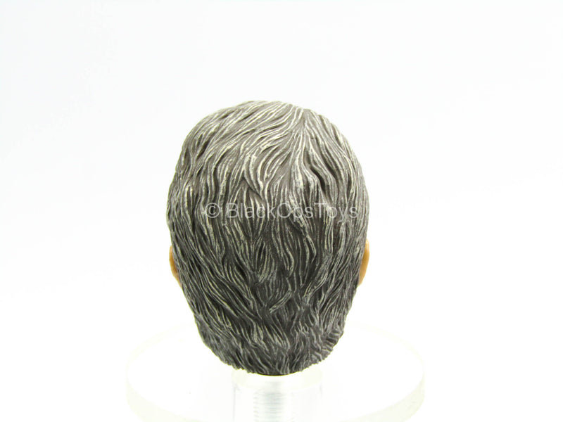 Load image into Gallery viewer, Last Blood - John Rambo - Male Head Sculpt
