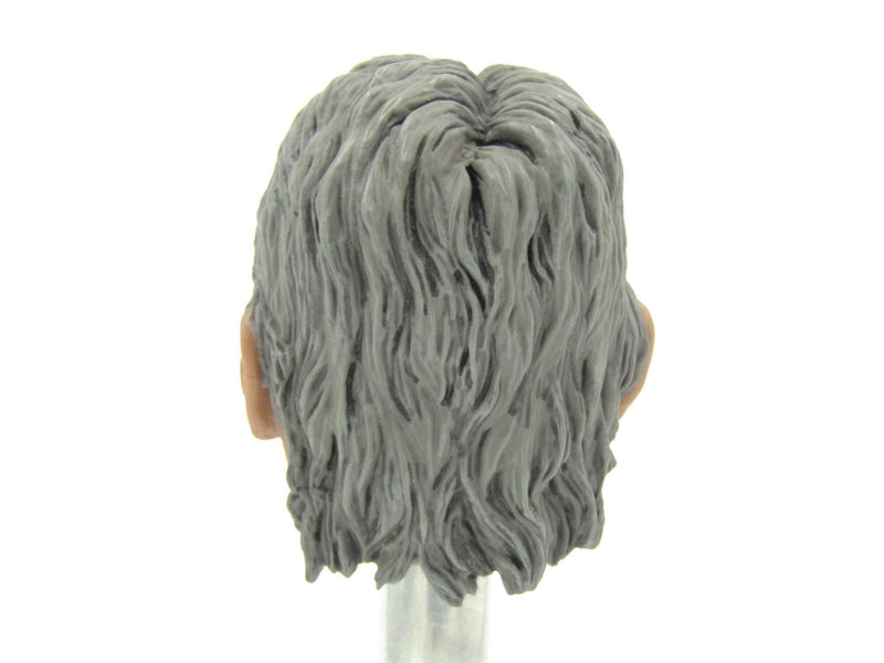 Load image into Gallery viewer, Cowboys &amp; Aliens - Woodrow - Head Sculpt w/Harrison Ford Likeness
