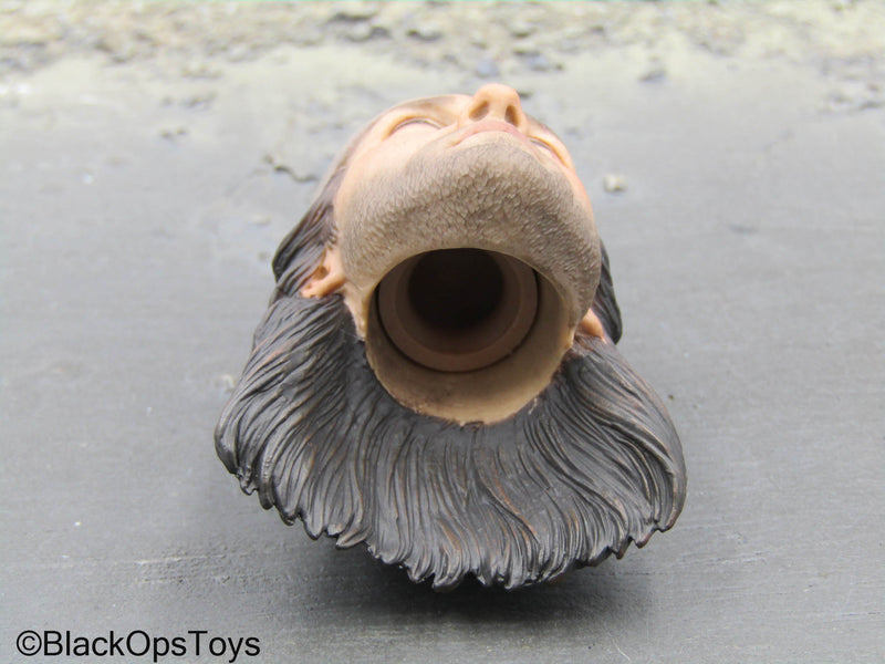 Load image into Gallery viewer, Task Force 58 PO1 Brad - Male Head Sculpt w/Bandana
