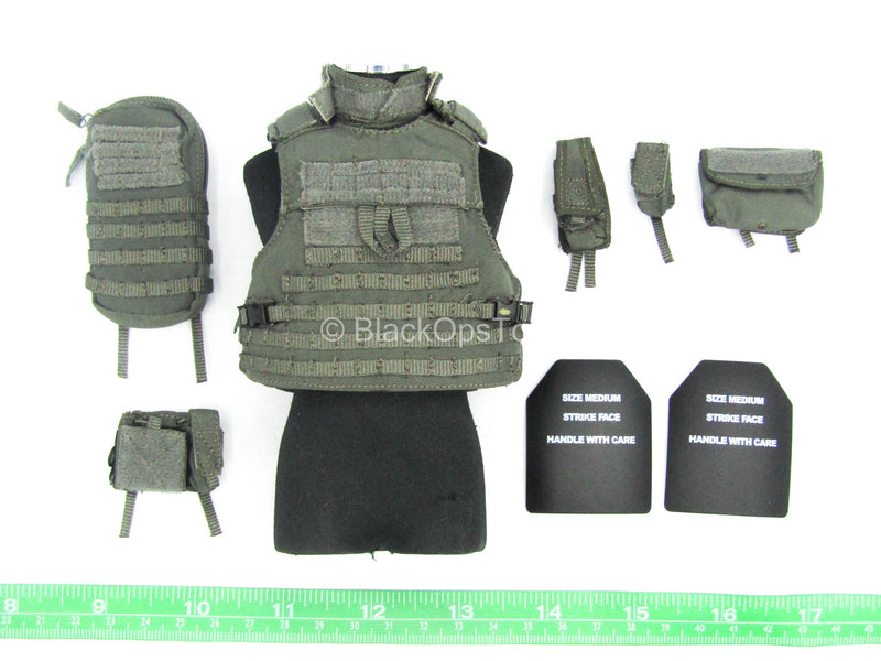 Load image into Gallery viewer, Hong Kong CTRU - Wolf Grey MOLLE Plate Carrier Vest w/Pouch Set
