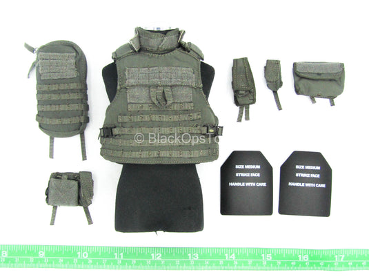 Hong Kong CTRU - Wolf Grey MOLLE Plate Carrier Vest w/Pouch Set