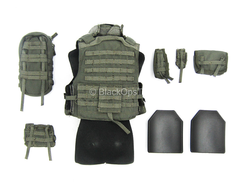 Load image into Gallery viewer, Hong Kong CTRU - Wolf Grey MOLLE Plate Carrier Vest w/Pouch Set
