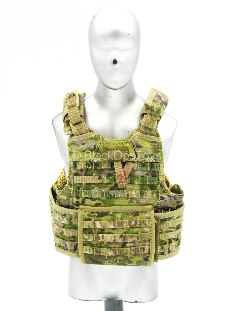 Load image into Gallery viewer, U.S. Air Force TACP/JTAC - Multicam RBAV-AF Vest
