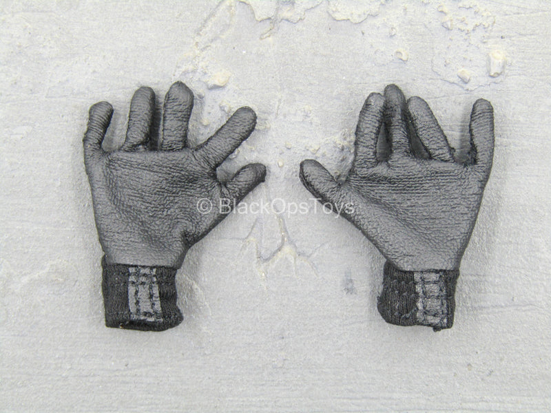 Load image into Gallery viewer, U.S. Air Force TACP/JTAC - Black Gloves
