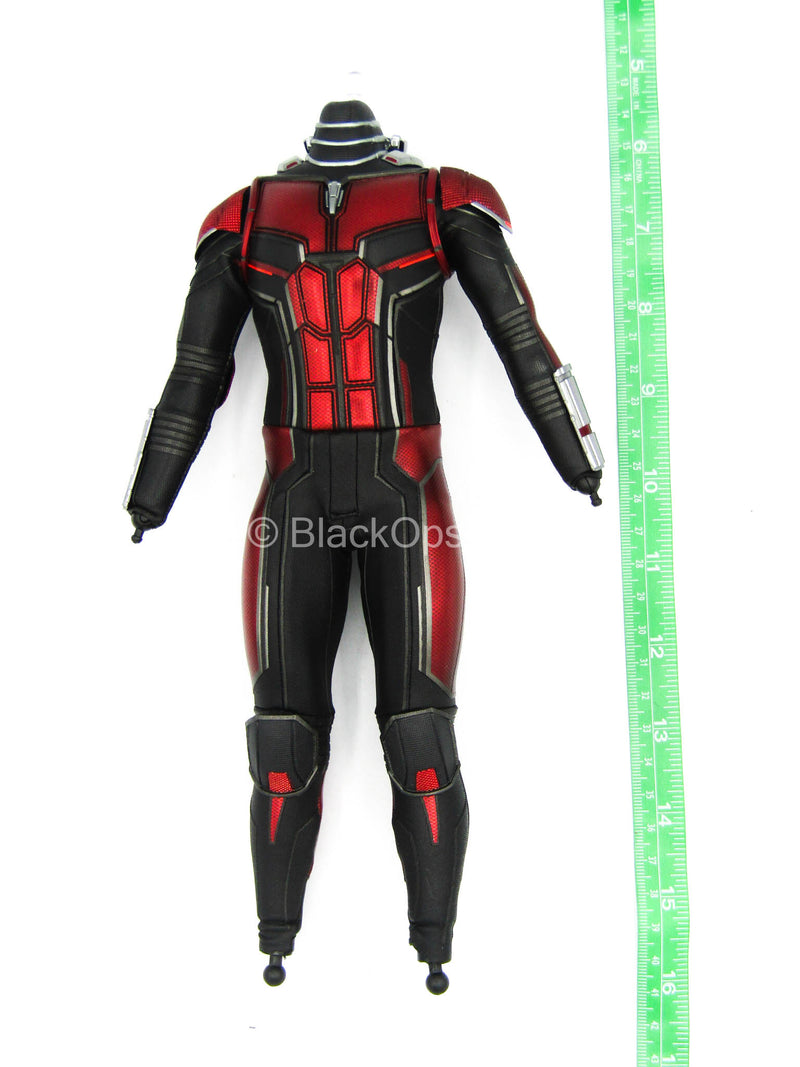 Load image into Gallery viewer, Ant-Man - Male Body w/Full Body Suit
