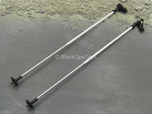 SMU Part XIII Recce Element - Ski Poles