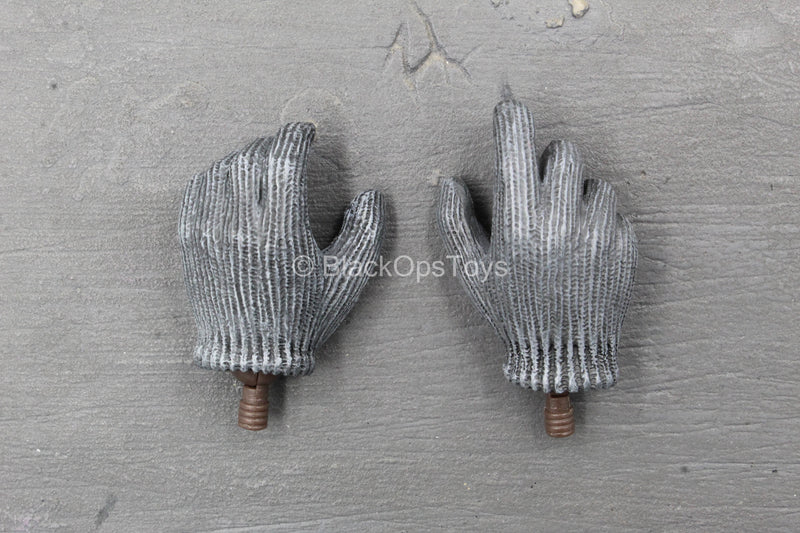 Load image into Gallery viewer, Apexplorers - T-Rex - Grey Gloved Hand Set
