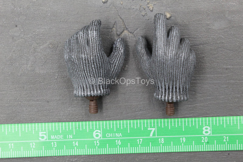 Load image into Gallery viewer, Apexplorers - T-Rex - Grey Gloved Hand Set
