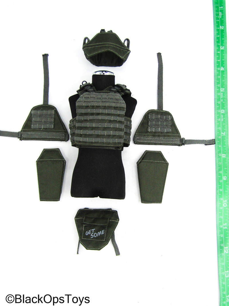Load image into Gallery viewer, ZERT - AMG Juggernaut (Asia) - Wolf Grey MOLLE Plate Carrier w//Armor Pads
