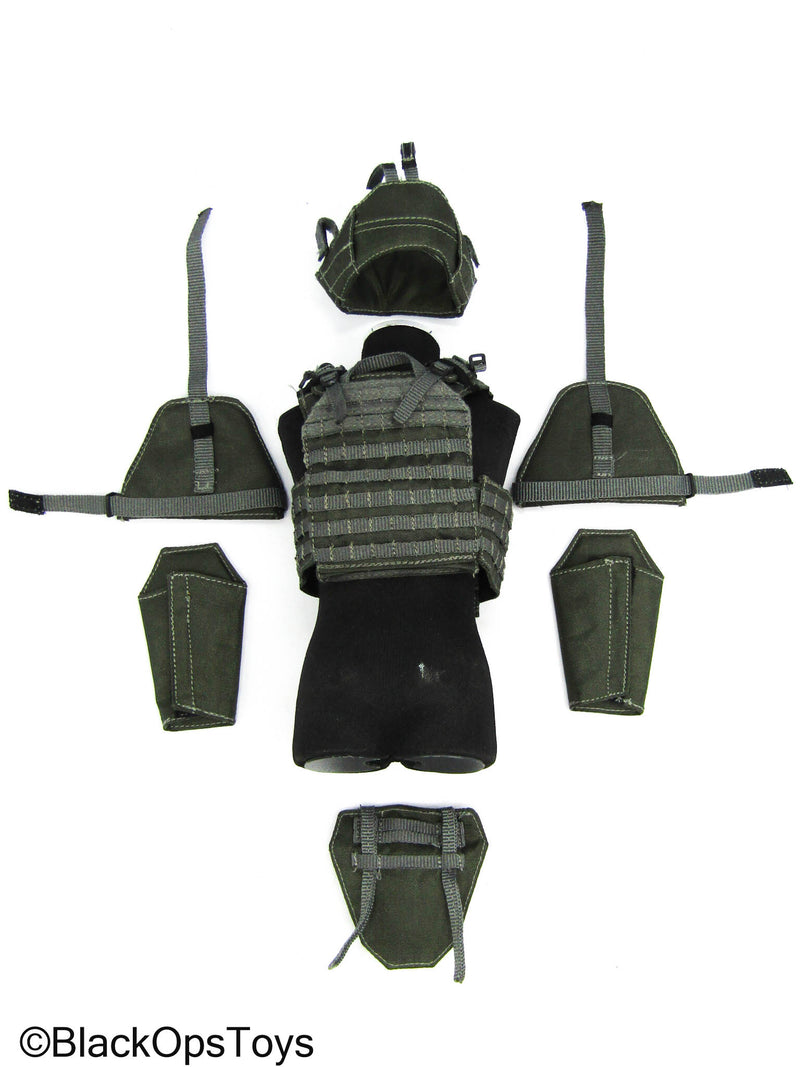 Load image into Gallery viewer, ZERT - AMG Juggernaut (Asia) - Wolf Grey MOLLE Plate Carrier w//Armor Pads

