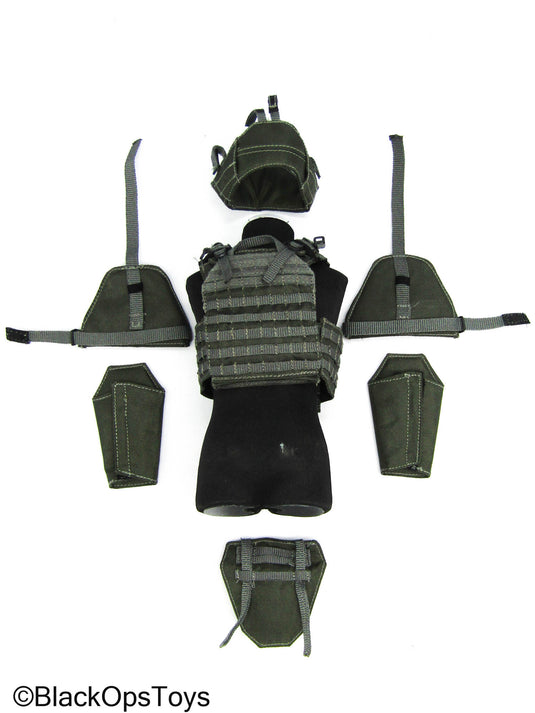 ZERT - AMG Juggernaut (Asia) - Wolf Grey MOLLE Plate Carrier w//Armor Pads