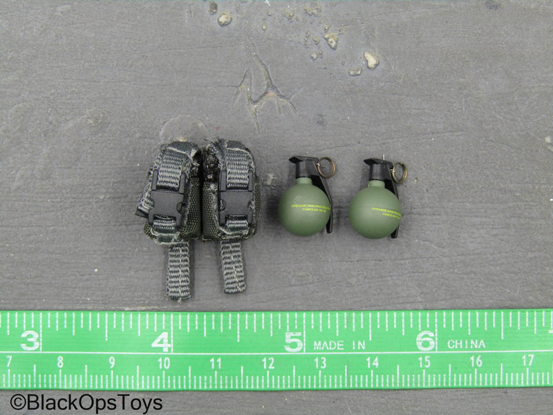 Load image into Gallery viewer, ZERT - AMG Juggernaut (Asia) - Wolf Grey MOLLE Dual Cell Pouch w/Grenades
