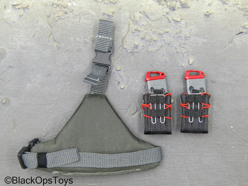 Load image into Gallery viewer, ZERT - Sniper Team - Wolf Grey MOLLE Drop Leg Panel w/Mag Set
