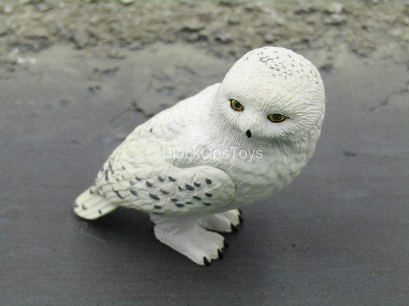 Load image into Gallery viewer, Harry Potter - Headwig the Snow Owl
