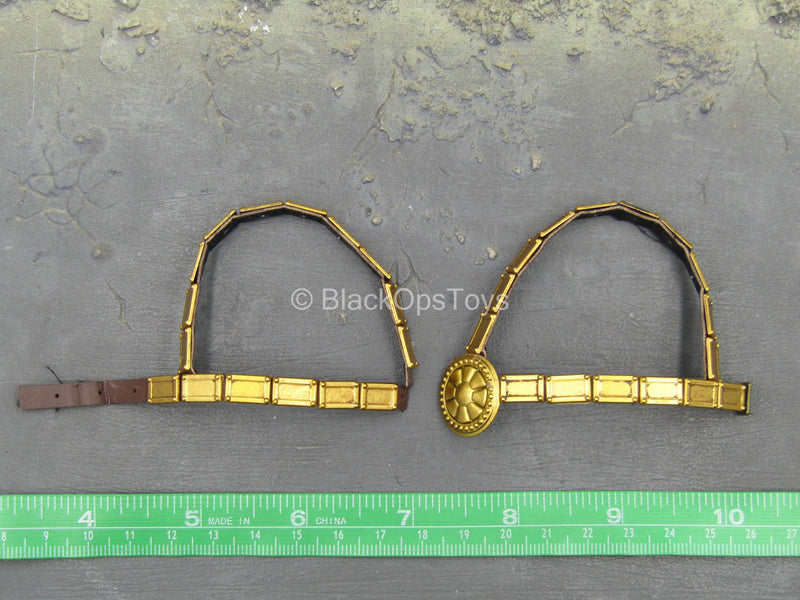 Load image into Gallery viewer, Persian Cavalry - Chest harness w/Metal Plating
