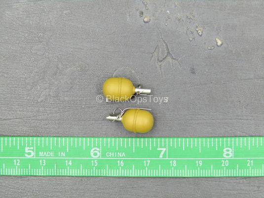 Russian USSR Spetsnaz - Frag Grenades (x2)
