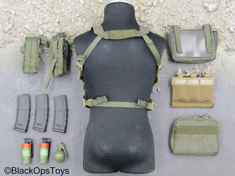Load image into Gallery viewer, NSWDG Infiltration Team Ver. B - Chest Rig Harness w/Pouch &amp; Grenade Set
