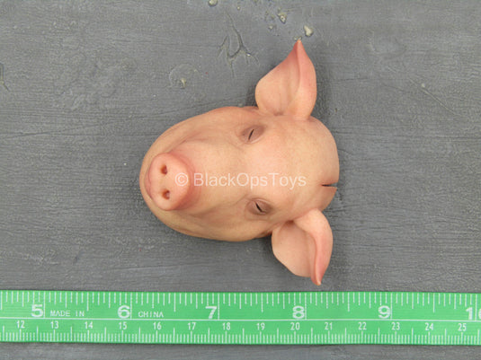 Downtown Union Butcher - Pigs Head