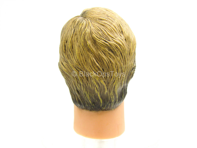 Load image into Gallery viewer, Male Head Sculpt In Likeness Of Aaron Eckhart
