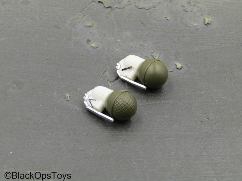 Load image into Gallery viewer, Spetsnaz MVD OSN Vityaz - Frag Grenades (x2)
