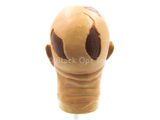 Freddy Kruger - Head Sculpt in Robert Englund Likeness