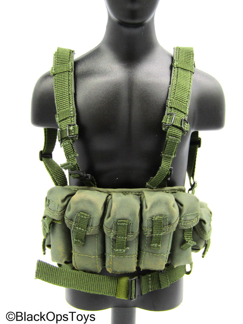 Load image into Gallery viewer, Spetsnaz MVD OSN Vityaz - Green Weathered Chest Rig
