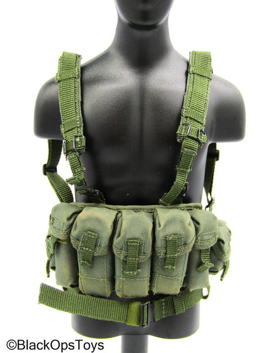 Spetsnaz MVD OSN Vityaz - Green Weathered Chest Rig