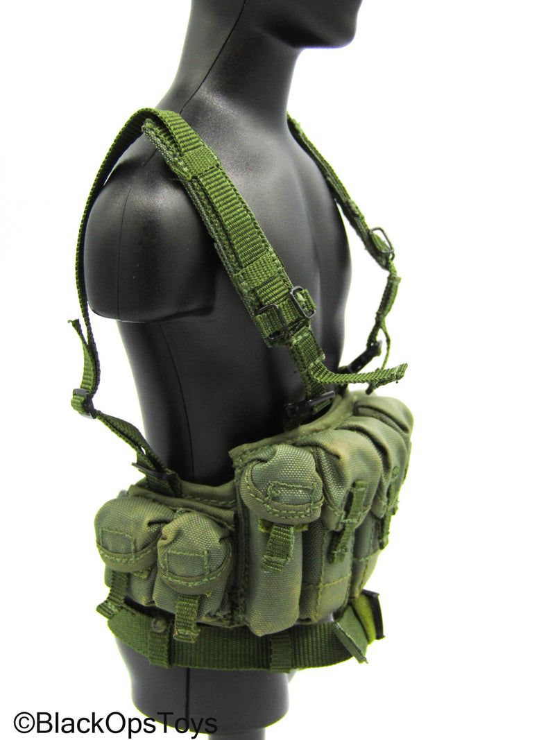 Load image into Gallery viewer, Spetsnaz MVD OSN Vityaz - Green Weathered Chest Rig
