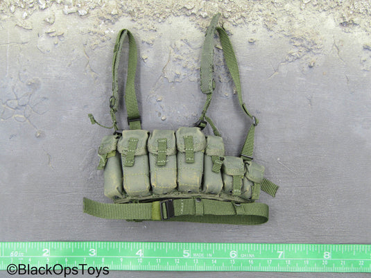 Spetsnaz MVD OSN Vityaz - Green Weathered Chest Rig