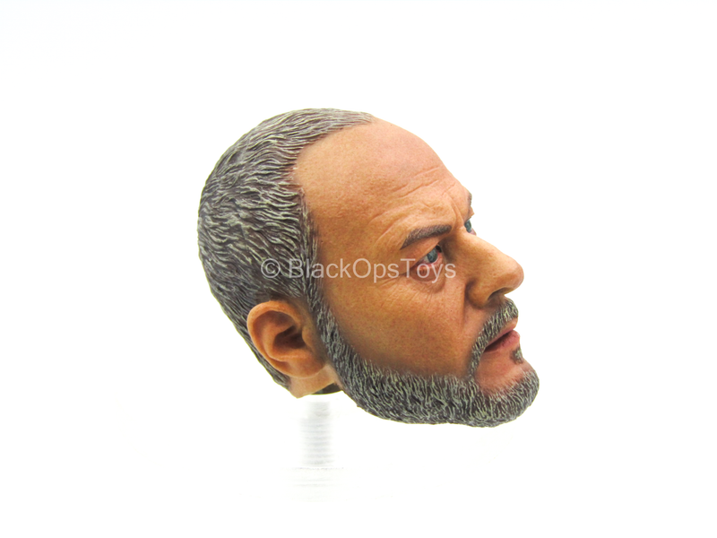Load image into Gallery viewer, Roman Aquilifer - Male Head Sculpt
