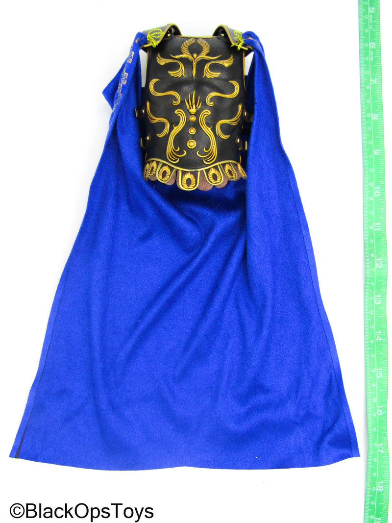Load image into Gallery viewer, Empire Legion Tyrant - Metal Black &amp; Gold Like Chest Armor w/Blue Cape
