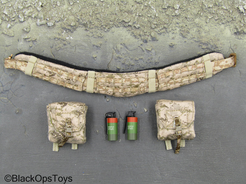 Load image into Gallery viewer, NSWDG Infiltration Team Ver. B - AOR1 MOLLE Battle Belt Set
