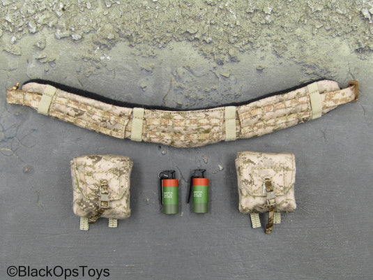 NSWDG Infiltration Team Ver. B - AOR1 MOLLE Battle Belt Set