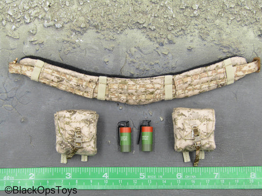 NSWDG Infiltration Team Ver. B - AOR1 MOLLE Battle Belt Set